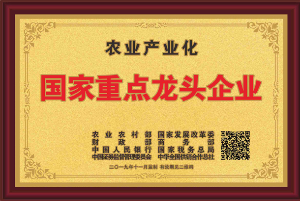 殊榮加身！湘豐茶業集團再獲標桿龍頭企業和優勢特色產業30強等稱號
