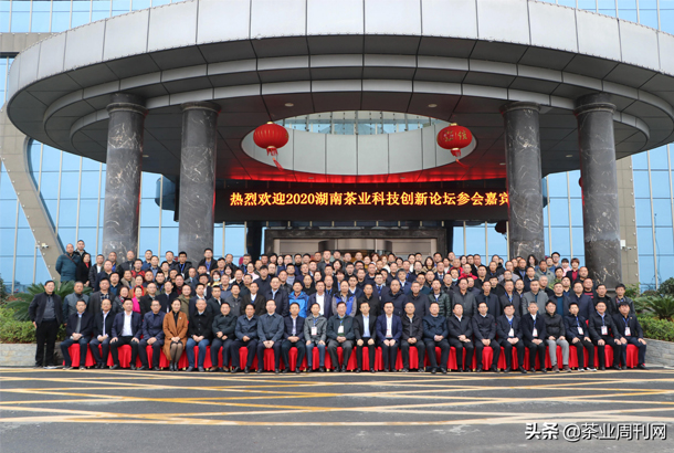 2020湖南茶業科技創新論壇在新化縣召開