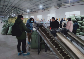 國家知識產權局及國際媒體采訪調研湖南湘豐桑植白茶有限公司